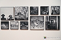 VBS_0595 - World Press Photo Exhibition 2022